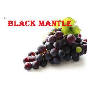 Black Mantle