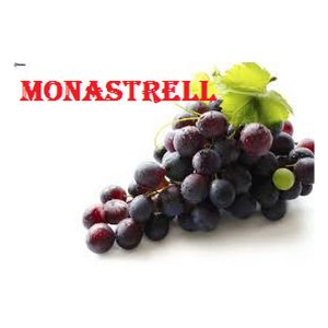 Monastrell
